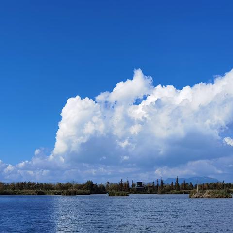 关注提醒