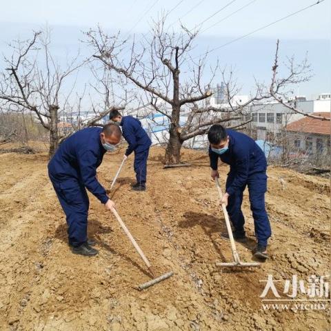 科技助力农业生产，最新锄地机效率飞跃