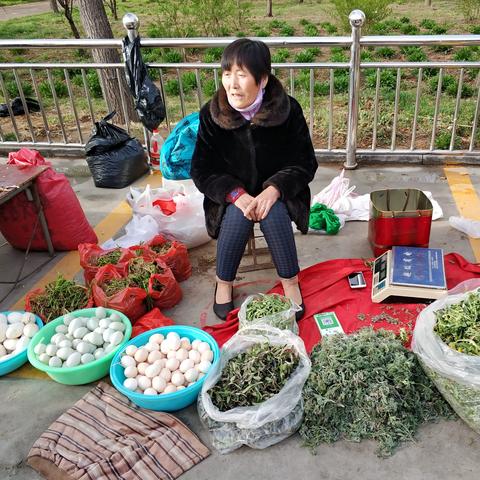 市场趋势（或市场动态）