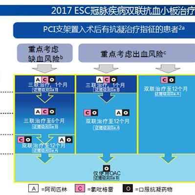 最新房颤指南解读概览